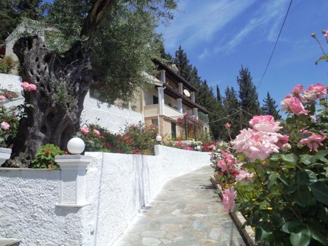 Appartement Nikolas Sea View Agnibay